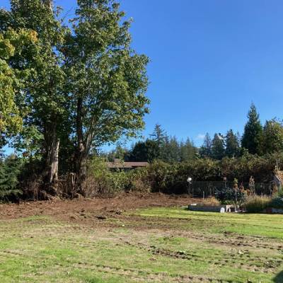 LAND CLEARING